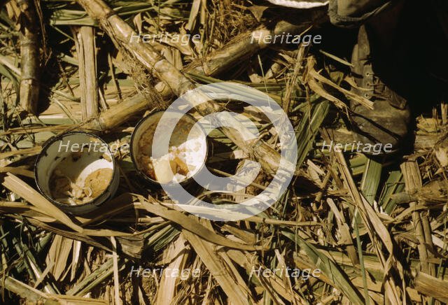 Rice and papaya in the lunch of a sugar worker on a plantation..., Guanica, Puerto Rico, 1942. Creator: Jack Delano.