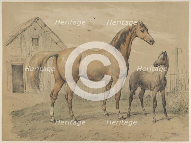 Mare and Foal, 19th century. Creator: Victor Adam.