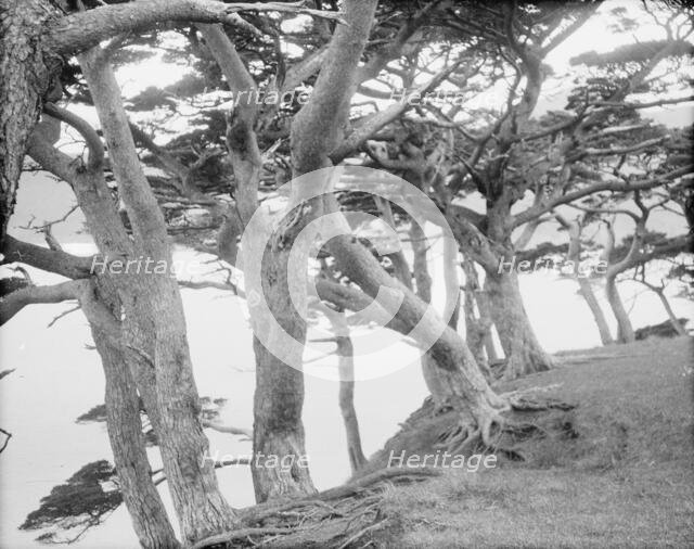 Travel views of Japan and Korea, 1908. Creator: Arnold Genthe.
