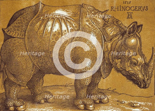The Rhinoceros, 1515. Creator: Dürer, Albrecht (1471-1528).