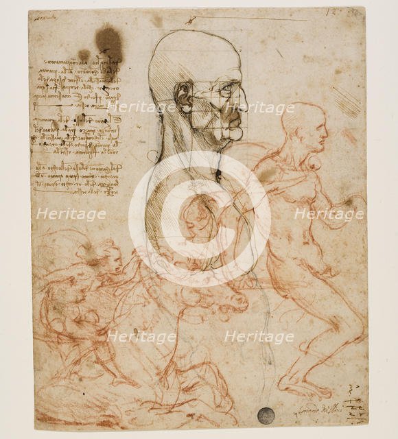 Human bust in profile with study of proportions, c. 1490-1499. Creator: Leonardo da Vinci (1452-1519).