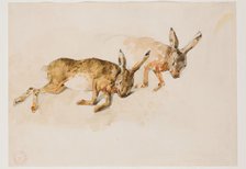 Two Studies of a Hare, between 1840 and 1876. Creator: Eugene Fromentin.