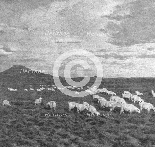 ''Un aspect du Haut Veld; Afrique Australe', 1914. Creator: Unknown.
