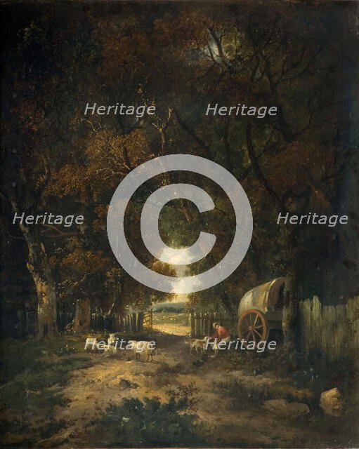 Walnut Tree Walk, Earlham, 1836-63.  Creator: Samuel David Colkett.