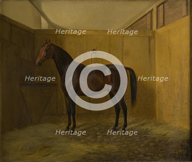 Bruno, 1848. Creator: Fritz Thomsen.