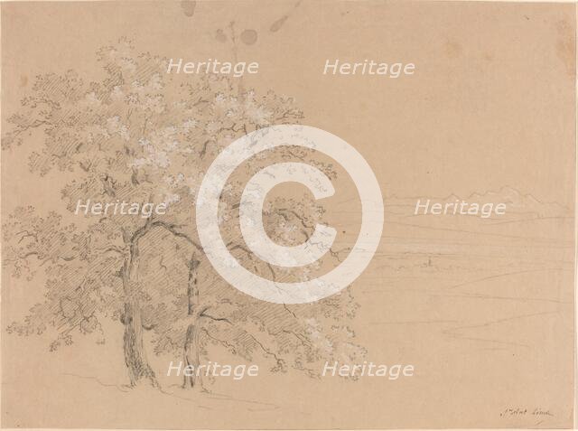 Sunlit Trees Before a Panoramic Landscape, 1810s(?). Creator: Jean-Antoine Linck.