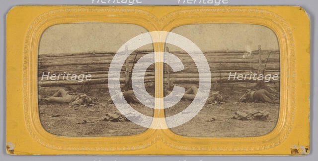 Stereograph of deceased Confederate soldiers near a fence at Antietam, Maryland, 1862. Creator: Alexander Gardner.