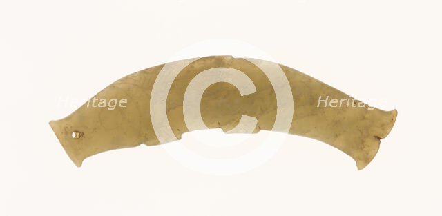 Fish Pendant, Shang or Western Zhou period, 13th/10th century B.C. Creator: Unknown.