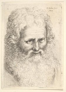 Head of an old man with a large beard, 1645. Creator: Wenceslaus Hollar.
