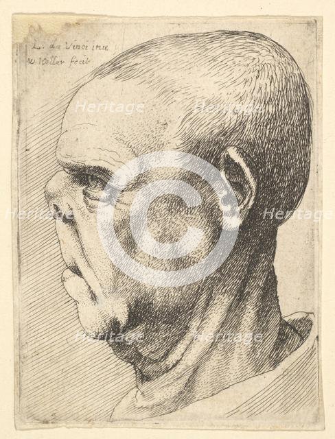 Grotesque old man with flattened nose in profile to left, 1625-77. Creator: Wenceslaus Hollar.