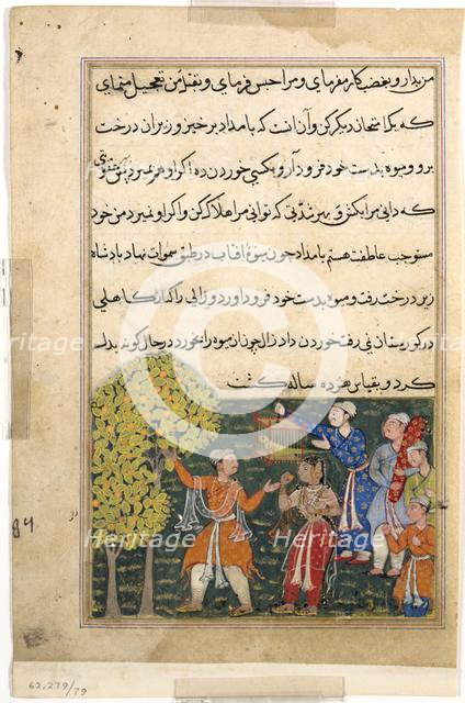 Page from Tales of a Parrot (Tuti-nama): Ninth night: The king plucks fruit from the Tree..., c. 156 Creator: Unknown.