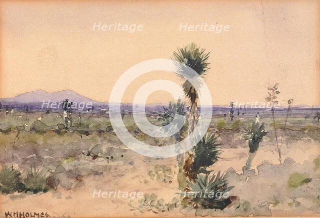 Yuccaland--Chihuahua, Mexico, n.d. Creator: William Henry Holmes.