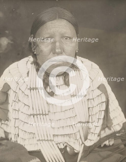 Hard Wood, 1905. Creator: Edward Sheriff Curtis.