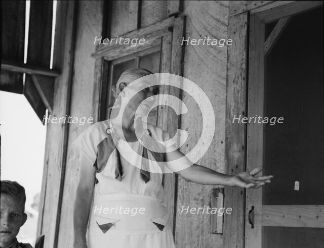 Grandmother of sharecropper family near Cleveland, Mississippi, 1937. Creator: Dorothea Lange.