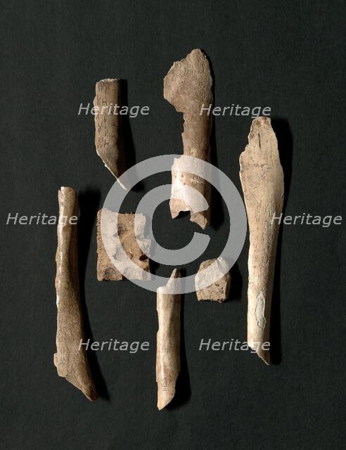 Oracle Bones (76 total), Shang dynasty (about 1600-1046 BC). Creator: Unknown.