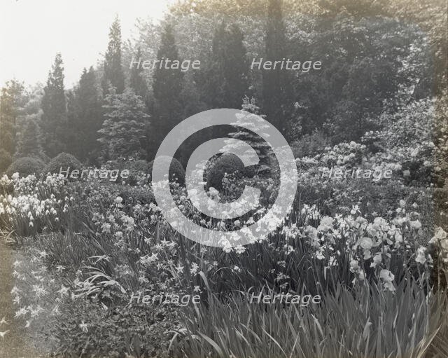"Killenworth," George Dupont Pratt house, Glen Cove, New York, c1918. Creator: Frances Benjamin Johnston.