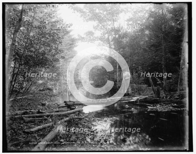 Wiscasset Pool, Mt. Pocono, Pa., between 1890 and 1901. Creator: Unknown.
