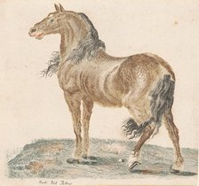 The Neighing Horse, 1690s. Creator: Johann Teyler.