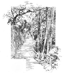 Belvoir Castle: footpath leading to the Castle, 1890. Creator: Unknown.