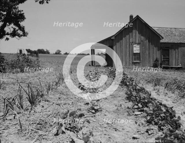House of ex-tenant farmer now on reliefEllis County, Texas, 1937. Creator: Dorothea Lange.