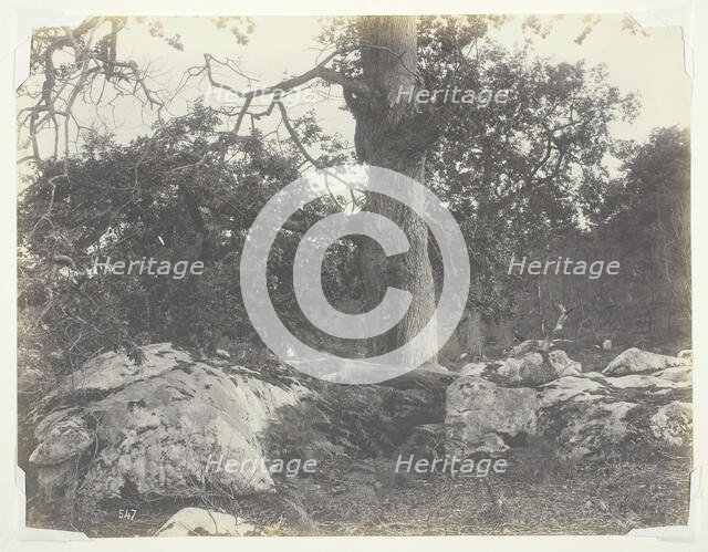 Forest and Rocks, Fontainebleau, 1860s. Creator: Achille Quinet.