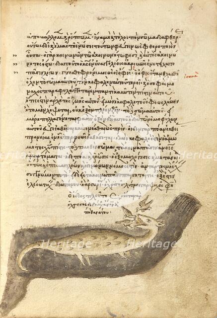 Three Birds Pecking at a Crocodile; Miscellany: Physiologus: other texts, 1510-1520. Creator: Unknown.