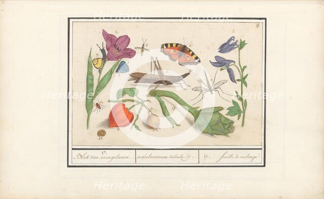 Natural History Ensemble (No. 17), 1596-1610. Creators: Elias Verhulst, Anselmus de Boodt.