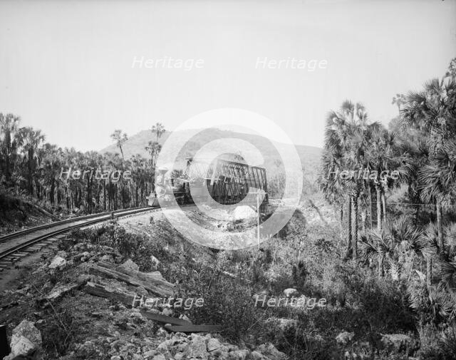 Bridge at Crucitas, between 1880 and 1897. Creator: William H. Jackson.