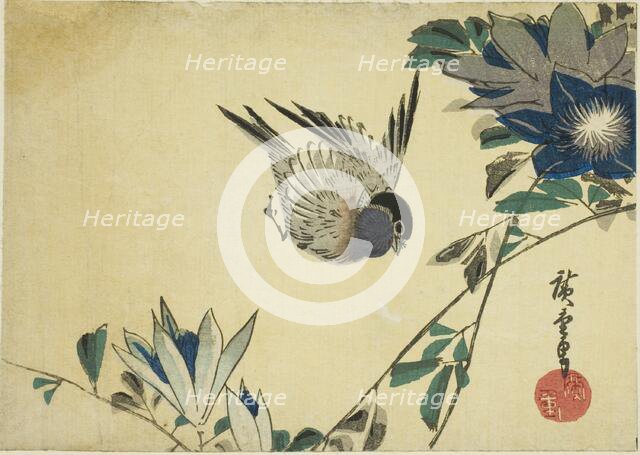 Bullfinch and clematis, 1830s. Creator: Ando Hiroshige.
