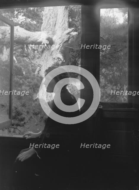 Cooke, Helen, Miss, portrait photograph, 1909 July 15. Creator: Arnold Genthe.