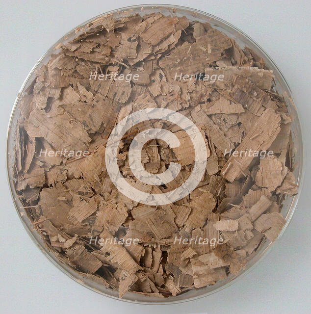 Papyri Fragments, Coptic, 7th century. Creator: Unknown.