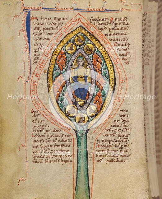 A Man Enthroned within a Mandorla in a Tree; Bestiary, about 1270. Creator: Unknown.