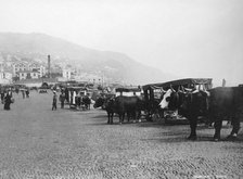 Bullock carriages, Madeira, Portugal, c1920s-c1930s(?). Artist: Unknown