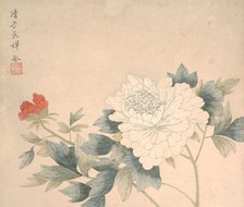 Flower Study, 17th century. Creator: Yun Bing.