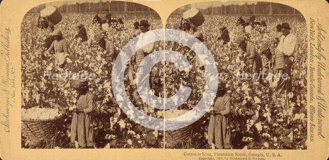 Cotton is king- A plantation scene, Georgia, 1895 (Inferred). Creator: Strohmeyer & Wyman.