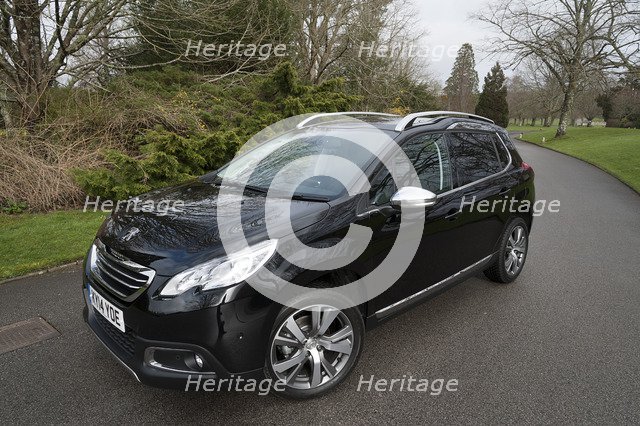 2014 Peugeot 2008 Hdi Feline Artist: Unknown.