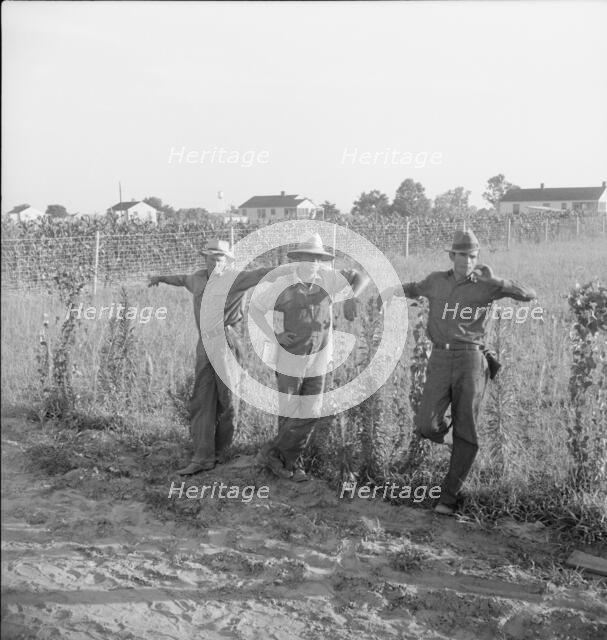 Farm Security Administration (FSA) cooperative farm, Lake Dick, Arkansas, 1938. Creator: Dorothea Lange.