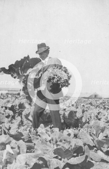 Frank G. Carpenter on Mr. Rickert's farm, between c1900 and 1916. Creator: Unknown.