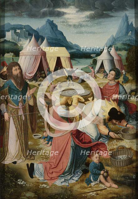 Gathering of Manna (inner, right wing of a triptych), c.1510-c.1520. Creator: Anon.