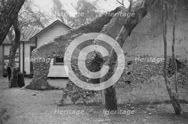 Tabby construction, ruins of supposed Spanish mission, St. Marys, Georgia, 1936. Creator: Walker Evans.