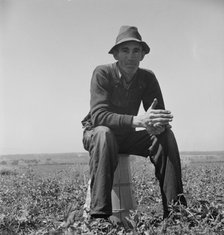 Strawberry grower from Oklahoma near Judsonia, 1937. Creator: Dorothea Lange.