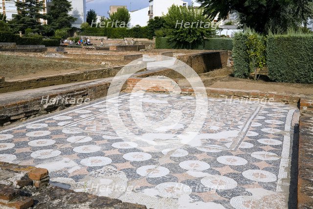 A mosaic floor in the House of the Amphitheatre, Merida, Spain, 2007. Artist: Samuel Magal