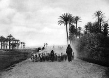 Shepherding sheep near Cairo, Egypt, c1920s. Artist: Unknown