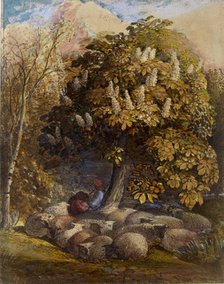 Pastoral with a Horse Chestnut Tree, c1830-1831. Artist: Samuel Palmer.