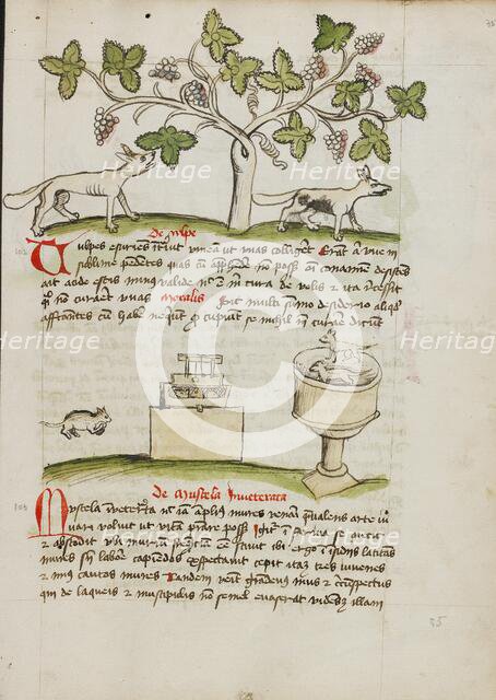 A Weasel and Several Captured Mice; Fables, third quarter of 15th century. Creator: Unknown.