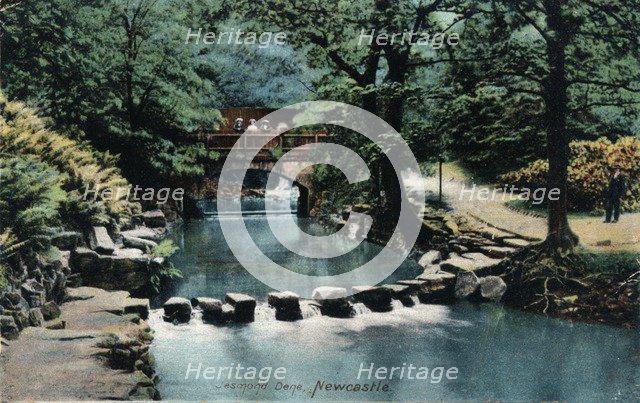 Jesmond Dene, Newcastle, c1905. Artist: Unknown.