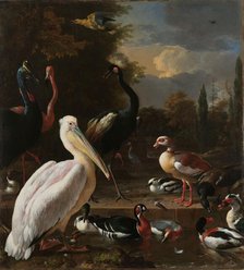 A Pelican and other Birds near a Pool, Known as ‘The Floating Feather’, c.1680. Creator: Melchior d'Hondecoeter.