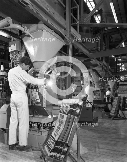 Bags being filled at the Spillers Animal Foods plant, Gainsborough, Lincolnshire, 1962. Artist: Michael Walters