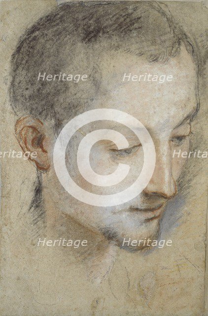 Study of a young Man's Head, late 16th century. Artist: Federico Barocci.