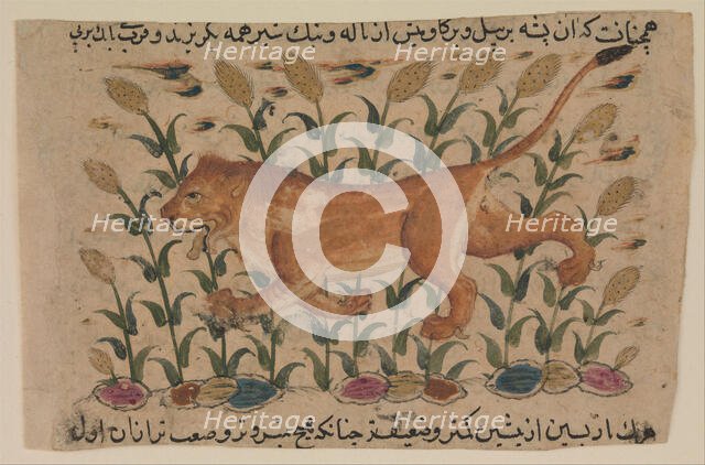 A Lion, Folio from a Dispersed Nuzhatnama-i ‘Ala’i of Shahmardan ibn Abi’l Khayr, early 17th centur Creator: Unknown.
